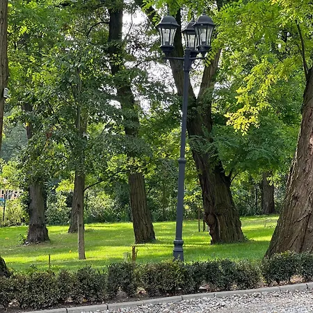 Berlinska - ,restauracja *