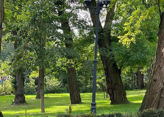 Berlinska - ,restauracja *